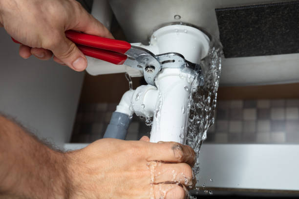 Best Water damage contractors near me  in Avon Park, FL