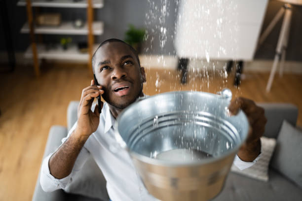 Best Emergency water damage restoration  in Avon Park, FL