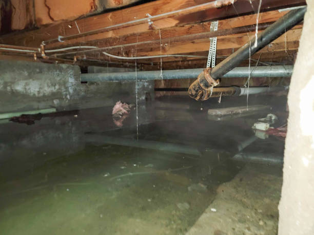 Best Flooded house restoration  in Avon Park, FL