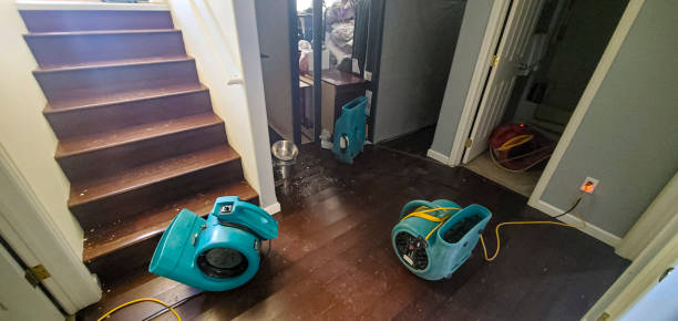 Best Carpet water damage restoration  in Avon Park, FL