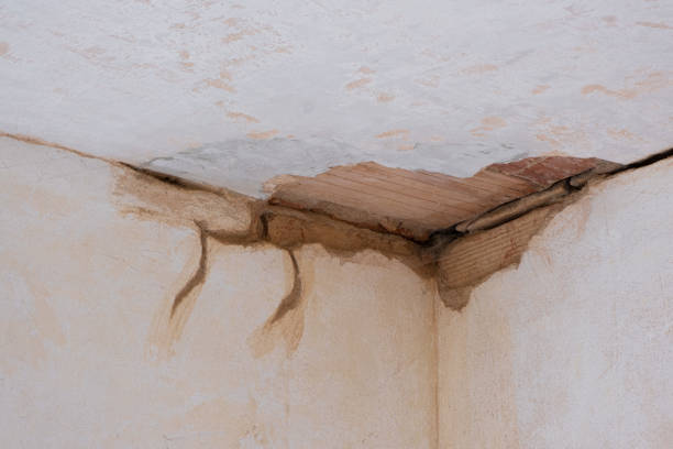 Best 24/7 water damage repair  in Avon Park, FL