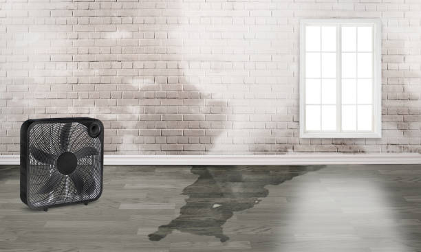 Best Fire Damage Restoration  in Avon Park, FL