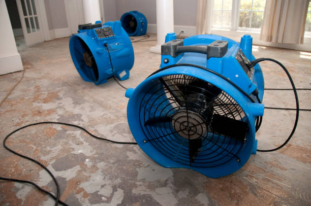 Best Water damage contractors near me  in Avon Park, FL