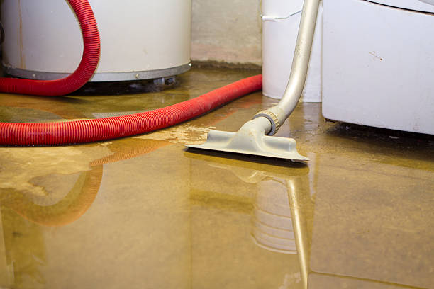 Best 24-hour water damage restoration  in Avon Park, FL