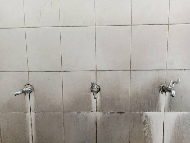 Best Flood restoration services  in Avon Park, FL