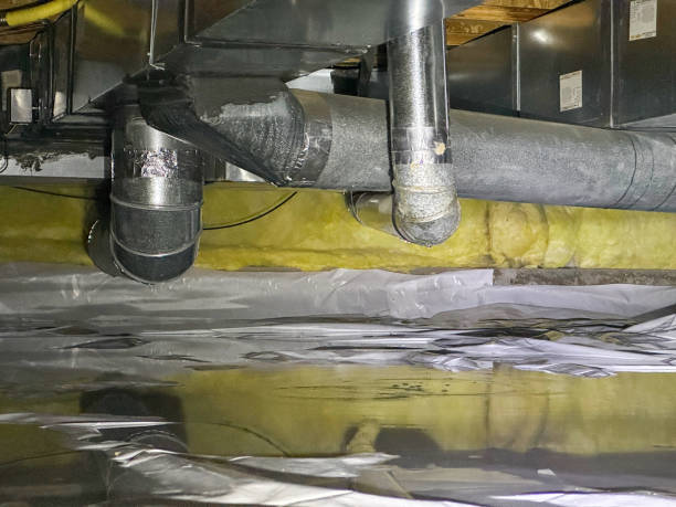 Best Professional water damage repair  in Avon Park, FL