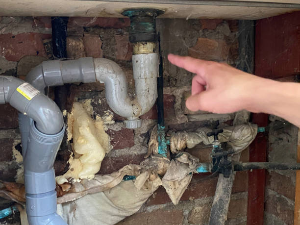 Best Flood damage cleanup  in Avon Park, FL