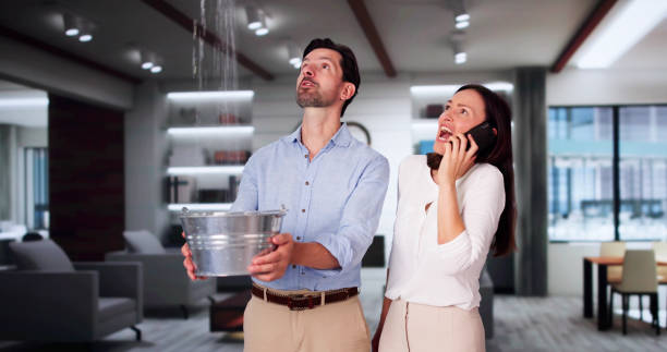 Best Basement water damage restoration  in Avon Park, FL