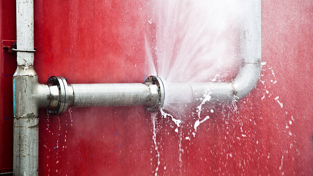 Best Local water damage restoration  in Avon Park, FL